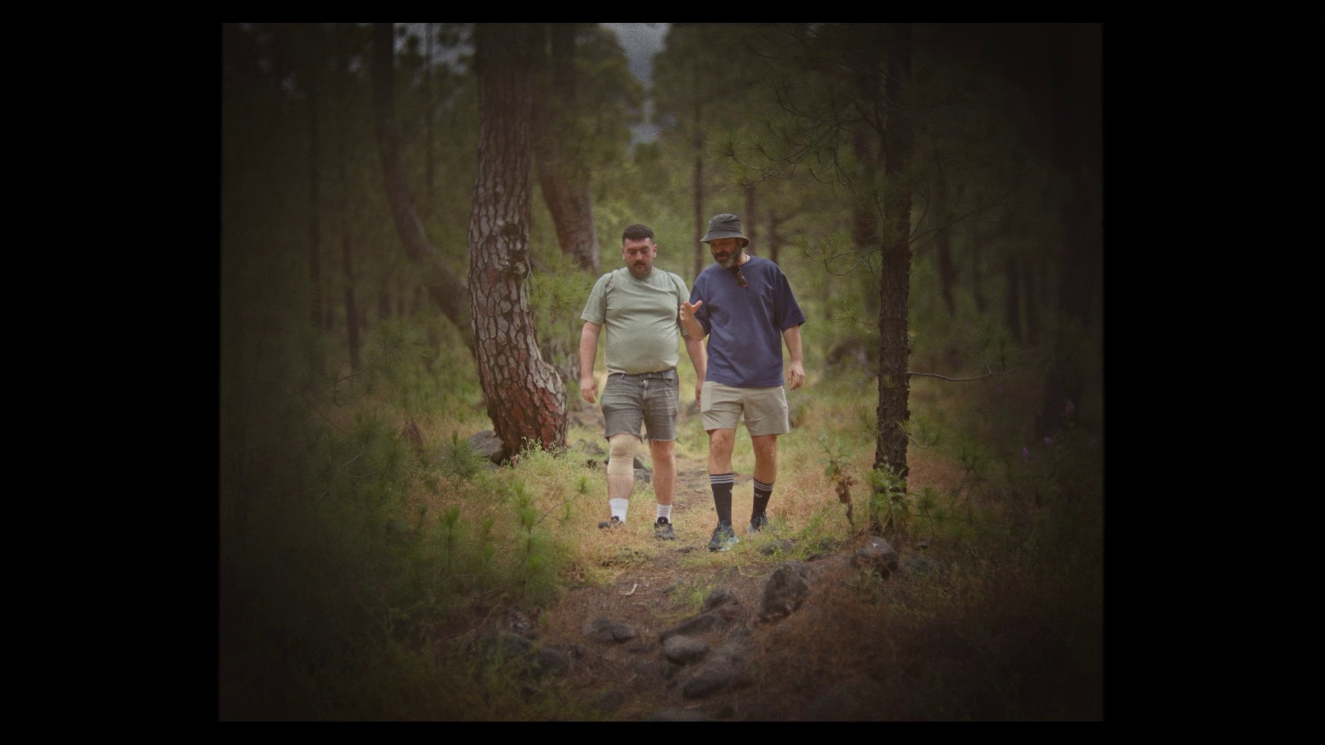 Toma tierra | Yon Bengoechea| Espanya | 2025 | 5’